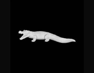 Coccodrillo