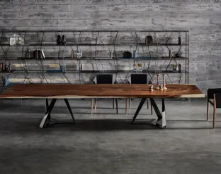Libreria Lexington di Bontempi