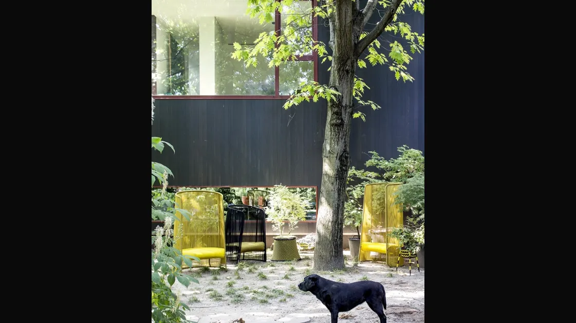Poltrona Husk Intrecciata di Moroso