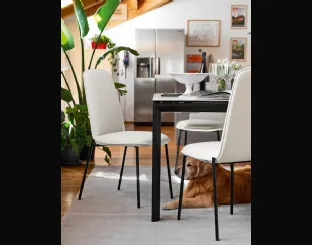 Sedia in tessuto imbottito con gambe in metallo Riley di Connubia