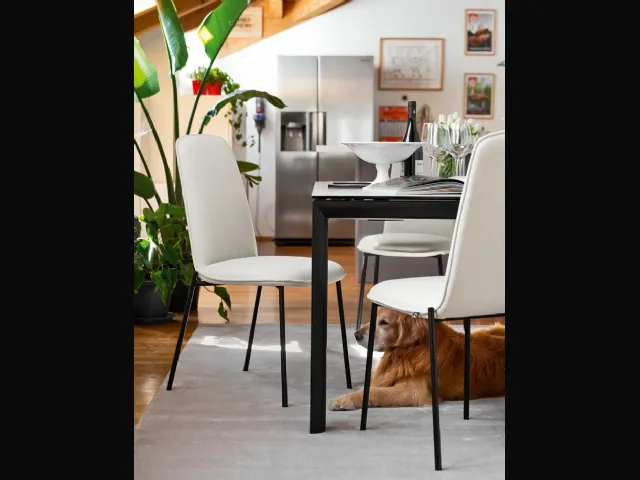 Sedia in tessuto imbottito con gambe in metallo Riley di Connubia