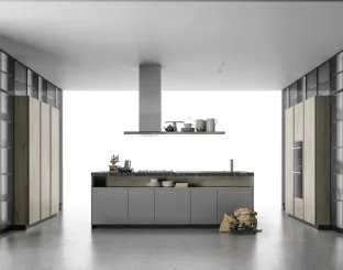 Cucina Design Aspen in Rovere nodato e Vetro grigio di Doimo Cucine